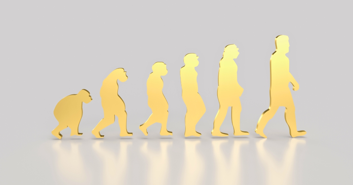 Was ist Evolution?: Von Darwins Theorie bis zu modernen Perspektiven