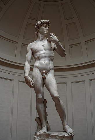 Michelangelo's David statue. Precise muscle and skeletal expressions based on anatomical knowledge can be observed.