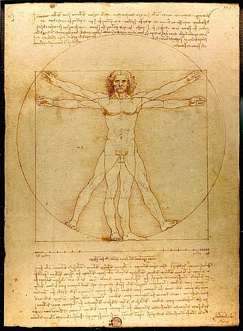 ウィトルウィウス的人体図』。ダ・ヴィンチの解剖学的知識と芸術的才能が融合した代表作。