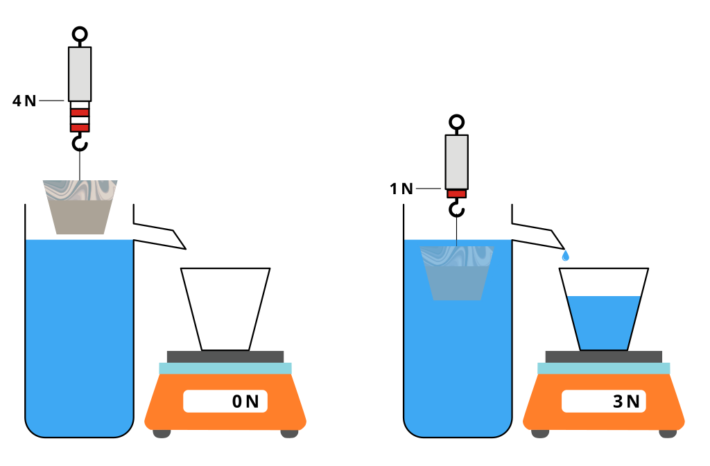 Prinsip Archimedes: Pada diagram kiri, sebuah objek digantung di dalam air, menunjukkan berat 4N. Pada diagram kanan, objek sepenuhnya terendam di dalam air, dan berat air yang dipindahkan (3N) sama dengan gaya apung yang bekerja pada objek tersebut. Akibatnya, setelah objek terendam, skala menunjukkan 3N, yang merupakan berat air yang dipindahkan. Objek itu sendiri sekarang beratnya 1N (4N - 3N), menunjukkan bahwa objek tersebut menjadi lebih ringan karena apung. Archimedes diyakini telah belajar di Alexandria.