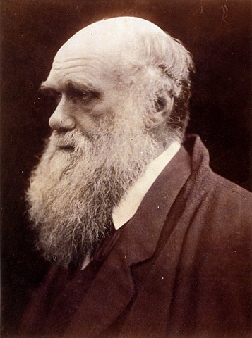 Portrait of Charles Darwin taken by Julia Margaret Cameron in 1868. At this time, Darwin was deeply immersed in plant research.