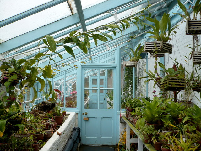 The modern view of Darwin's greenhouse at Down House, where he conducted plant experiments. Here, he made crucial observations supporting evolutionary theory for decades.