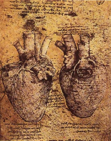 Esboço anatômico do coração por Leonardo da Vinci. Ele observou e retratou em detalhes a estrutura do coração e o fluxo sanguíneo. Este estudo preciso demonstra a abordagem científica e analítica de Leonardo.