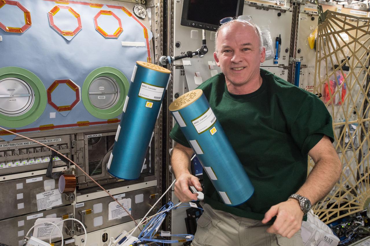 L'astronaute de la NASA Jeff Williams manipulant des conteneurs pour l'expérience Biological Research in Canisters - Natural Product (BRIC-NP) dans le laboratoire Destiny de la Station spatiale internationale (ISS). Cette expérience sélectionne des souches fongiques isolées de l'accident de la centrale nucléaire de Tchernobyl pour la sécrétion de produits naturels susceptibles d'être bénéfiques pour des applications biomédicales et agricoles.